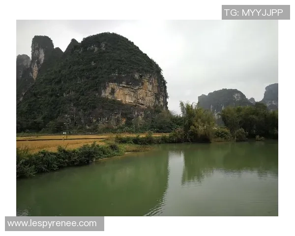 《探秘Elk射手：从技能特点到战术应用全面解析》