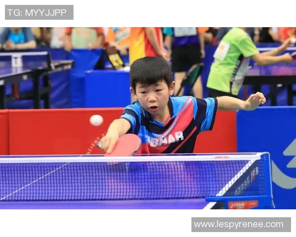 乒乓球运动的魅力与发展探索：从起源到全球化的演变历程