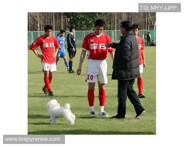 张琳芃坚守绿茵展现中国足球老将风采引领年轻球员奋勇前行 张琳芃坚守绿茵展现中国足球老将风采引领年轻球员奋勇前行