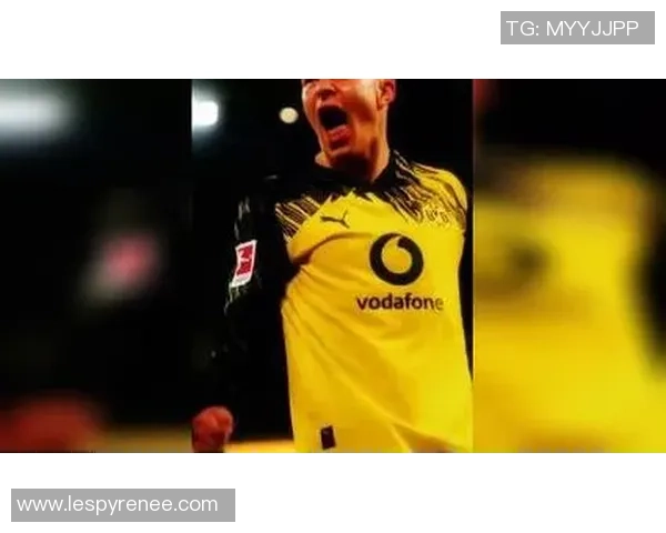 绿茵争锋激情绽放世界足坛豪强逐梦冠军荣耀 绿茵争锋激情绽放世界足坛豪强逐梦冠军荣耀