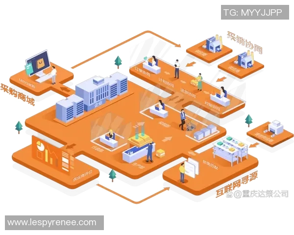 AL与CFO的角色对比与协作探讨在企业管理中的重要性